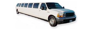 16 Passenger Excursion